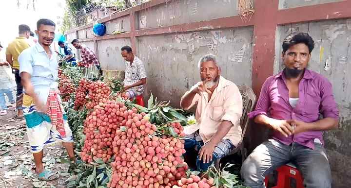 দিনাজপুরে লিচুর বাজার জমজমাট; হাজার কোটি টাকা বাণিজ্যের সম্ভাবনা